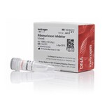 Ribonuclease Inhibitor, Cloned