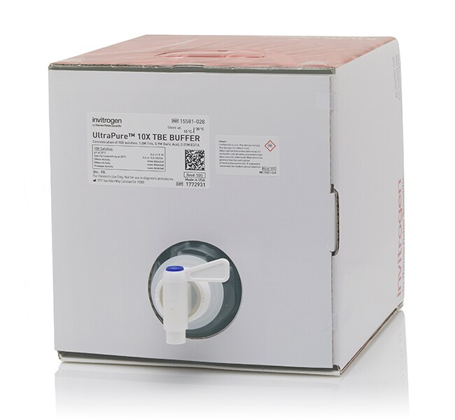 UltraPure&trade; TBE 缓冲液，10X