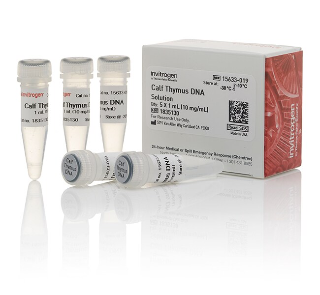 UltraPure™小牛胸腺 DNA 溶液