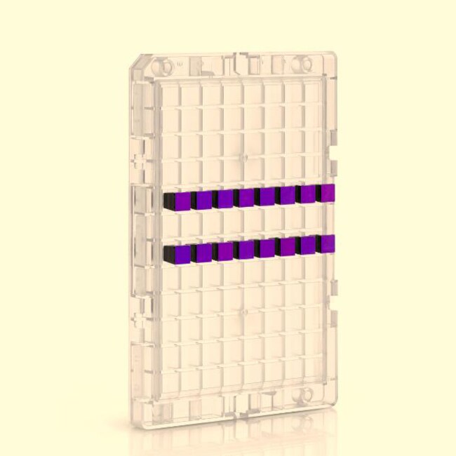 GeneChip&trade; HT HG-U133+PM 阵列板