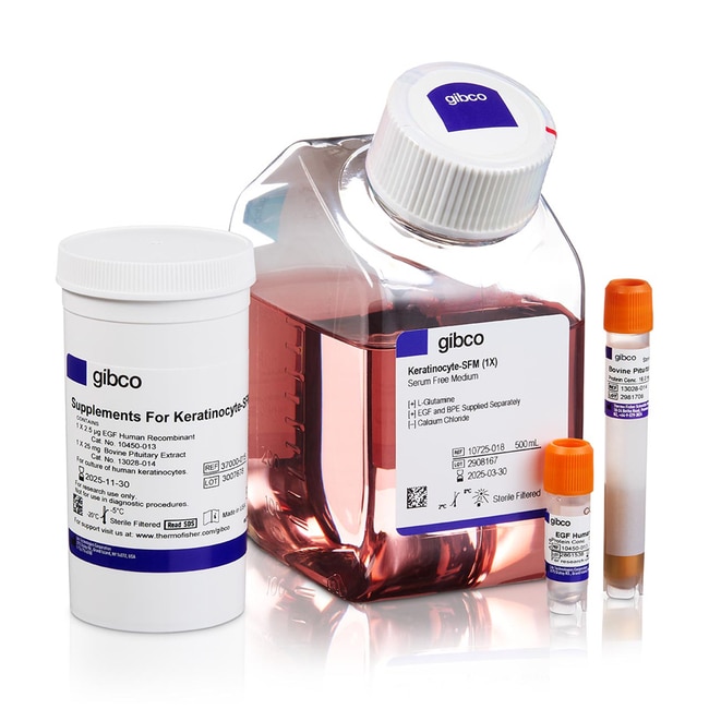 角质化细胞 SFM (1X)