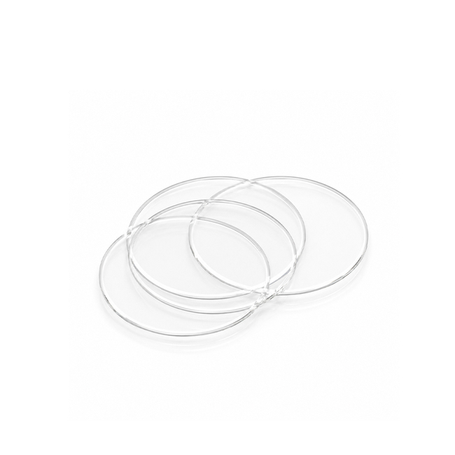 Nunc™ Thermanox™ Coverslips