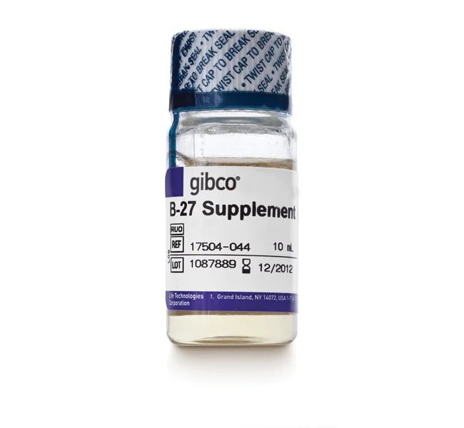 B-27&trade; Supplement (50X), serum free