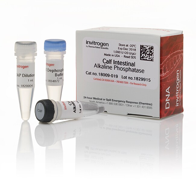 CIAP（小牛肠碱性磷酸酶），20 U/&mu;L