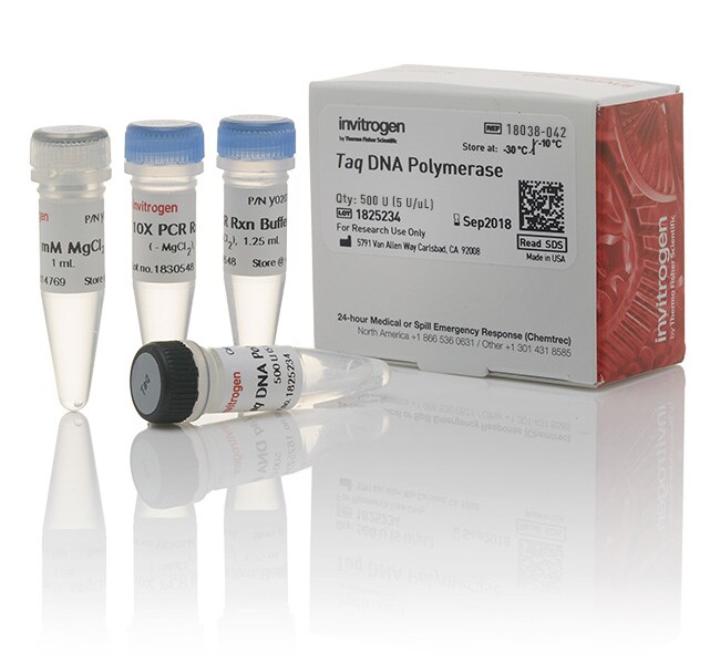 <i>Taq</i> DNA Polymerase, native