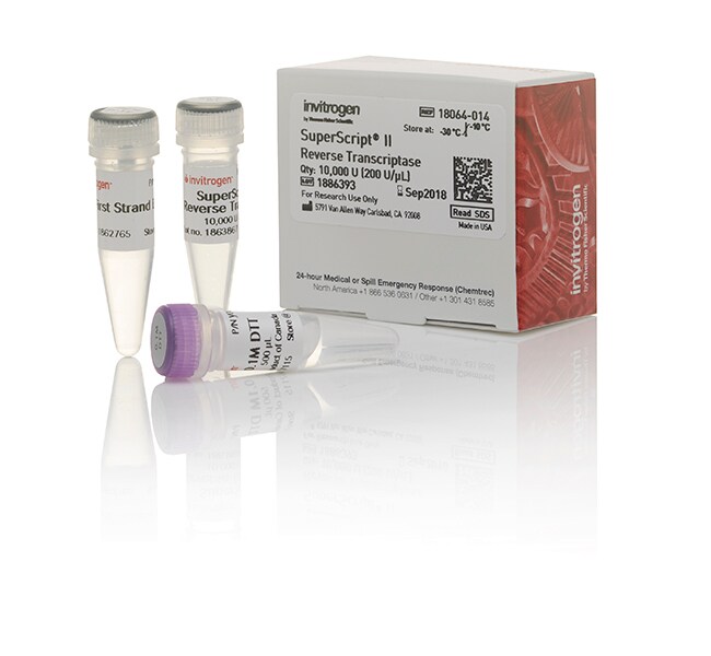 SuperScript&trade; II Reverse Transcriptase