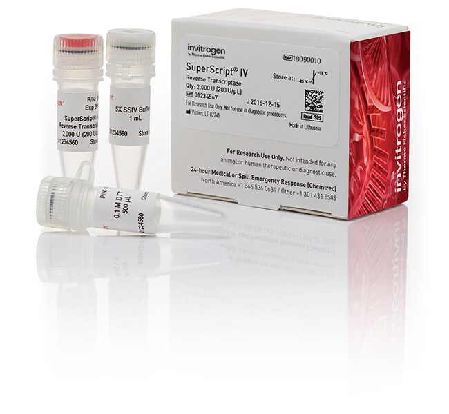 SuperScript&trade; IV Reverse Transcriptase
