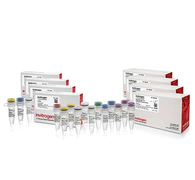 SuperScript™ IV 第一链合成系统