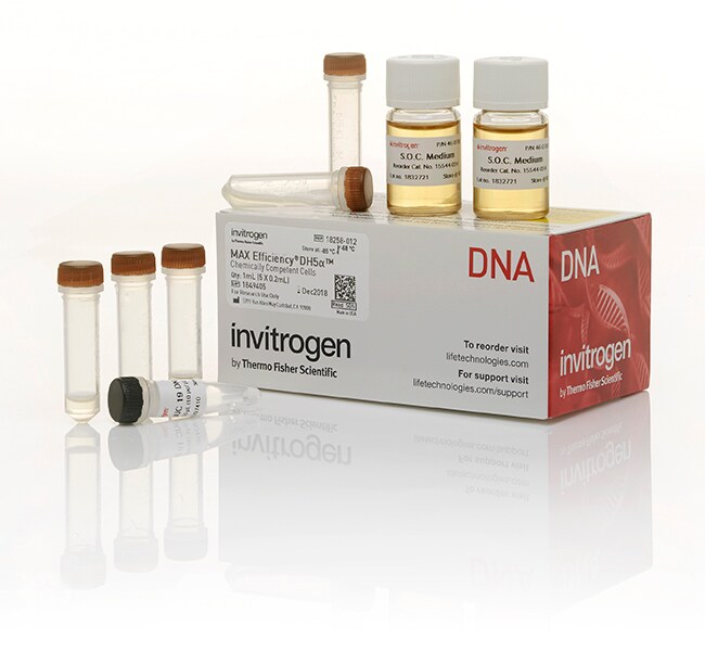 MAX Efficiency&trade; DH5&alpha; 感受态细胞