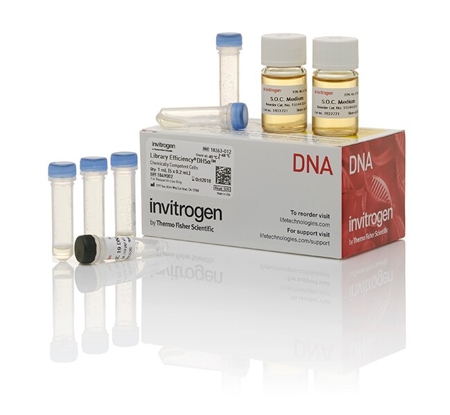 Library Efficiency&trade; DH5&alpha; 感受态细胞