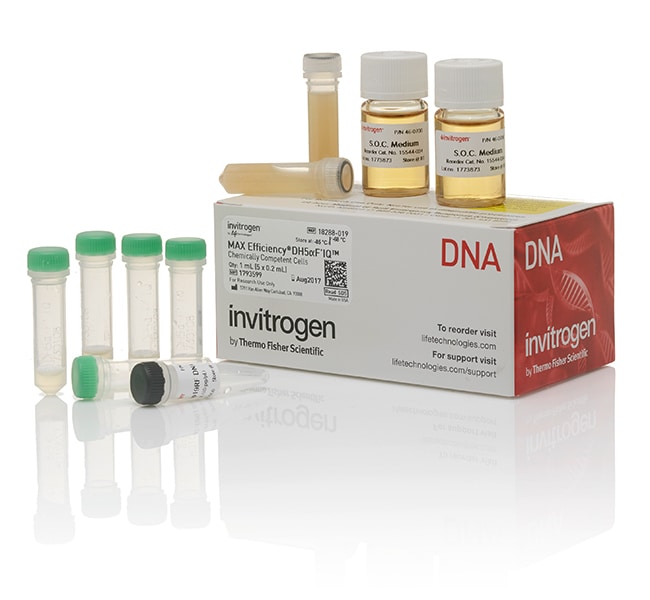 MAX Efficiency™ DH5αF'IQ 感受态细胞