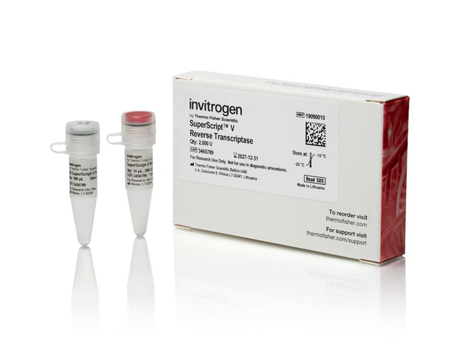 SuperScript V Reverse Transcriptase, 10,000 units