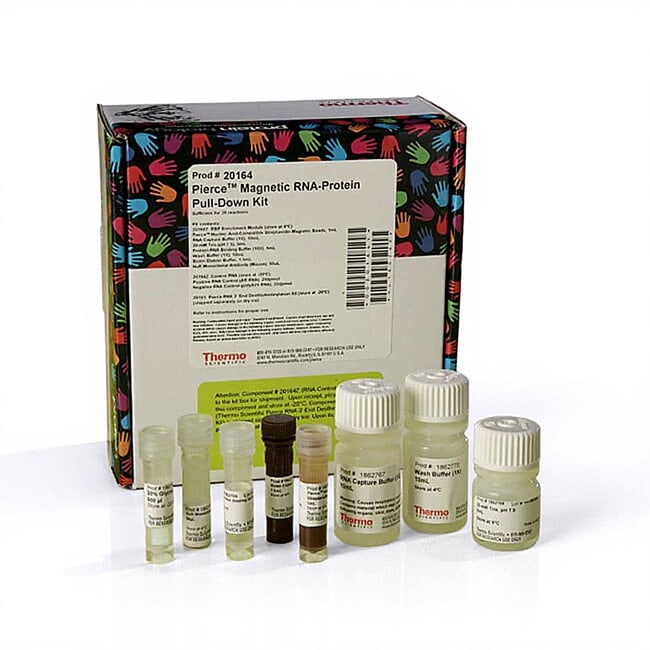 Pierce&trade; Magnetic RNA-Protein Pull-Down Kit