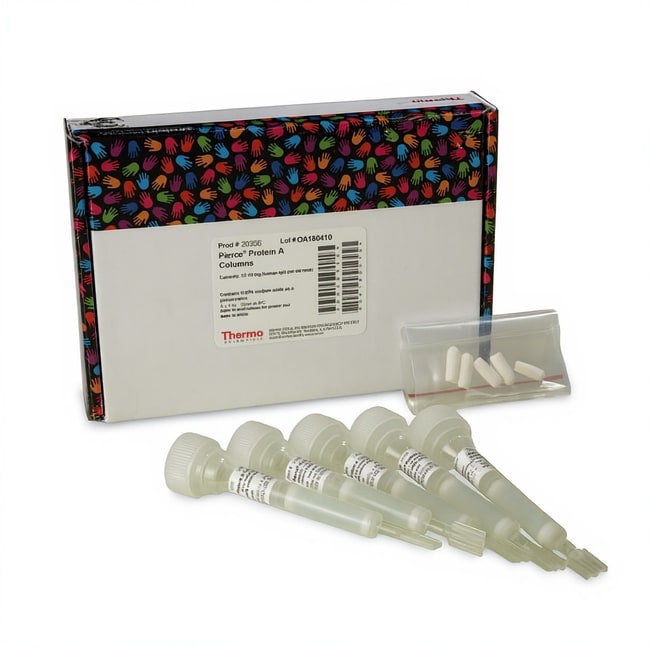 Pierce&trade; 蛋白 A 色谱柱，1 mL