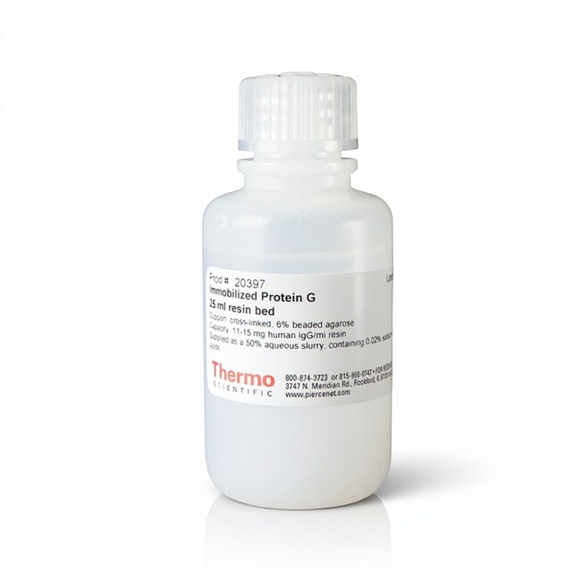 Pierce&trade; 蛋白 G 琼脂糖