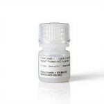 Pierce&trade; 蛋白 A/G 色谱纯化柱