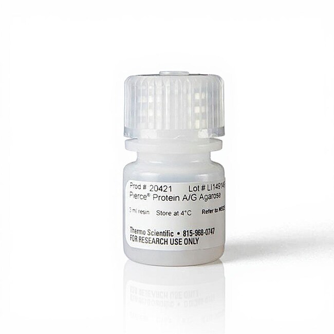 Pierce&trade; 蛋白 A/G 琼脂糖