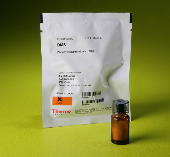 DMS (dimethyl suberimidate)