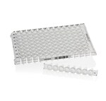 Armadillo&trade; 矮型 PCR 联排板，96 孔，透明