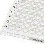 Armadillo&trade; 矮型 PCR 联排板，96 孔，透明