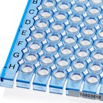 Armadillo&trade; 矮型 PCR 联排板，96 孔，蓝色