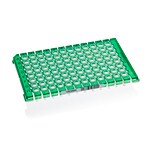 Armadillo&trade; Low-Profile PCR Strip Plate, 96 well, green