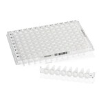 Armadillo&trade; Low-Profile PCR Strip Plate, 96 well, clear, white well