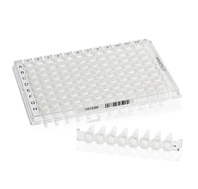 Armadillo&trade; Low-Profile PCR Strip Plate, 96 well, clear, white well
