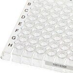 Armadillo&trade; 矮型 PCR 联排板，96 孔，透明，白色孔