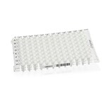 Armadillo&trade; PCR 联排板，96 孔，透明