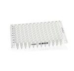 Armadillo&trade; PCR 联排板，96 孔，透明，白色孔