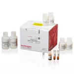 ChargeSwitch&trade; NoSpin Plasmid Micro Kit