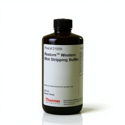 Restore™ Western Blot Stripping Buffer 500 mL | Buy Online