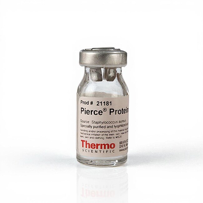Pierce&trade; 蛋白 A