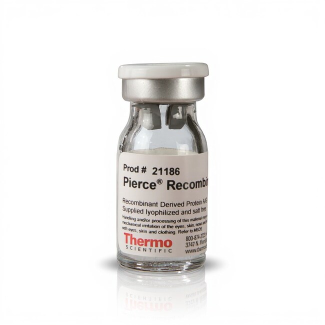 Pierce&trade; Recombinant Protein A/G