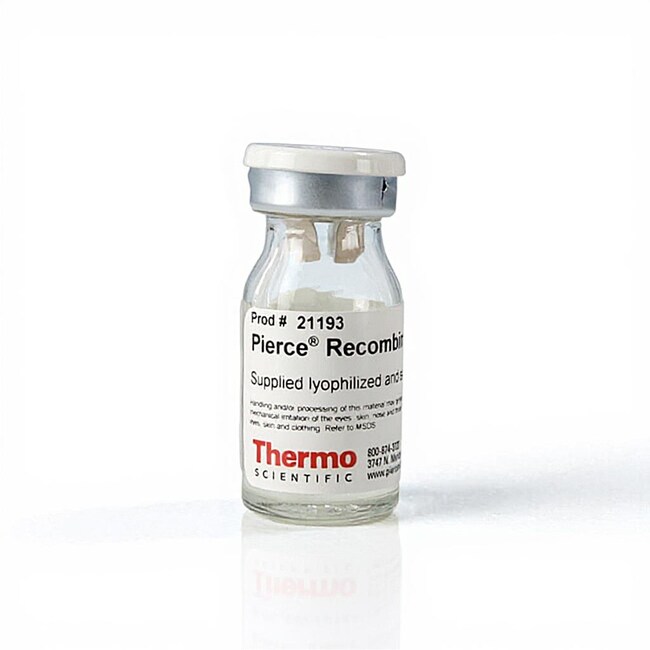 Pierce&trade; 重组蛋白 G
