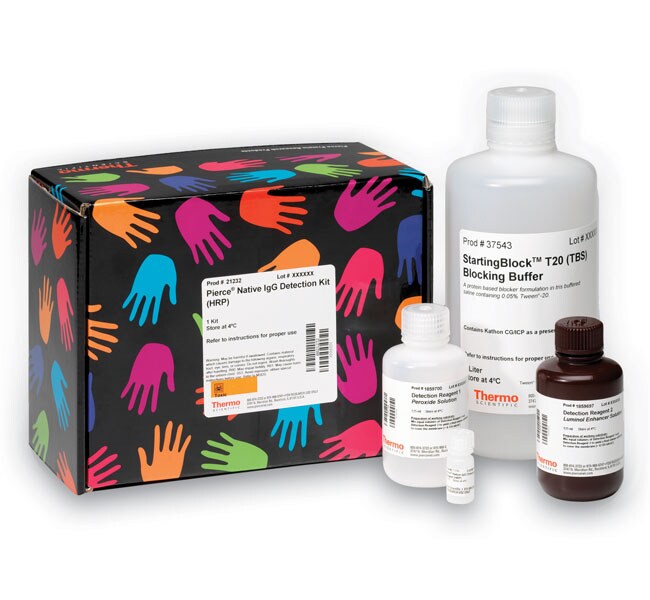 Clean-Blot&trade; IP 检测试剂盒 (HRP)