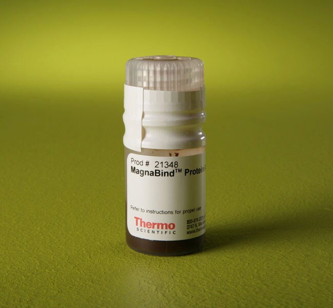 MagnaBind™ Protein A Beads