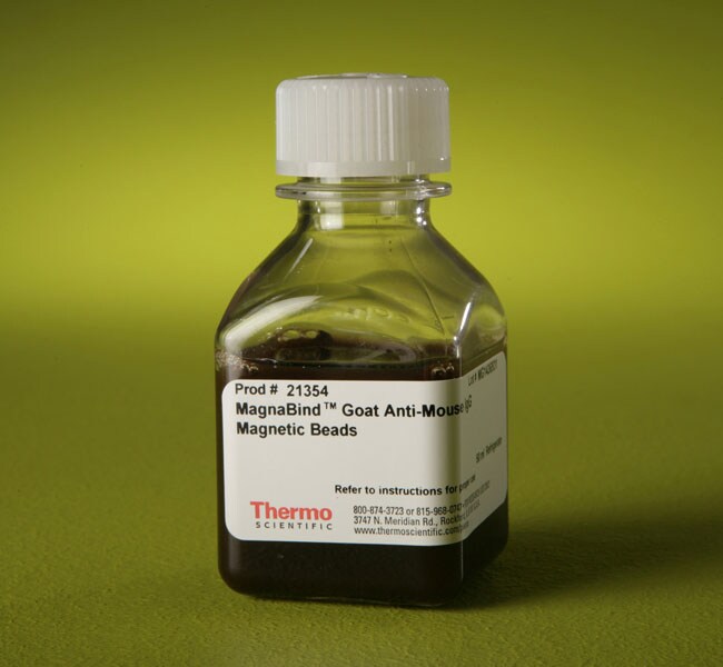 MagnaBind™ Goat Anti-Mouse IgG