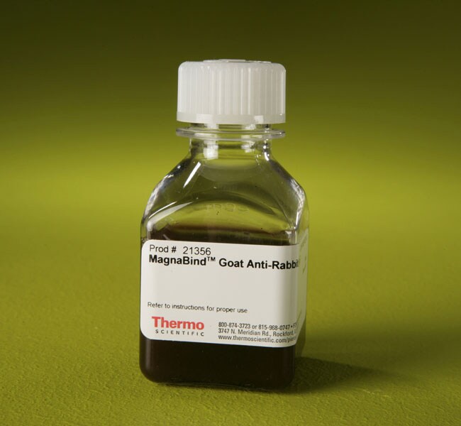 MagnaBind™ Goat Anti-Rabbit IgG