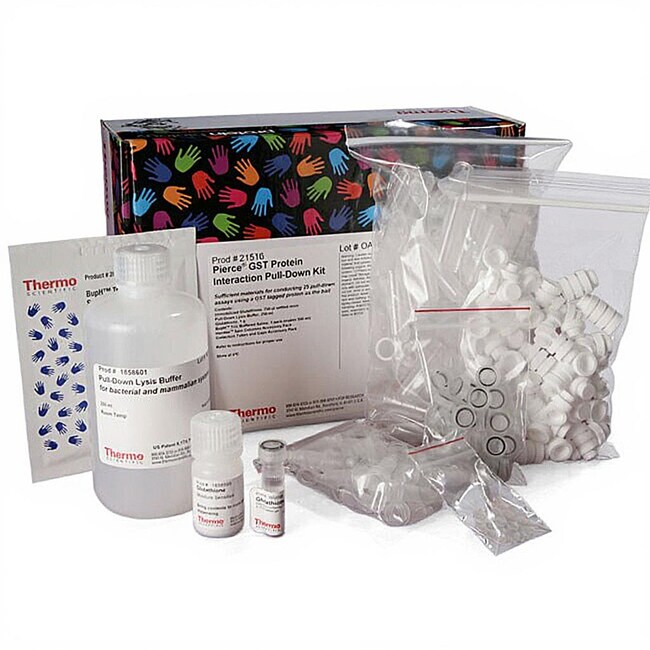 Pierce&trade; GST 蛋白相互作用 Pull-Down 试剂盒