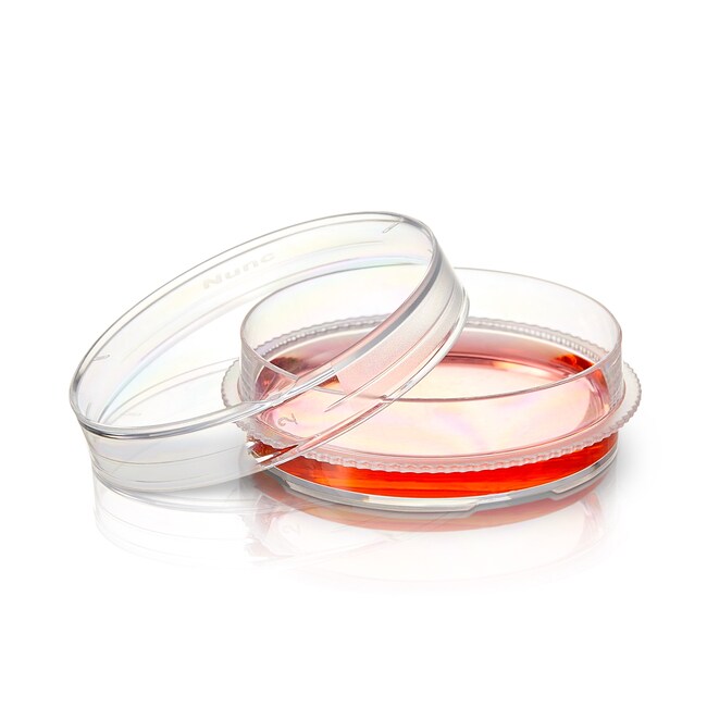 Nunc™ EasYDish™ Dishes with Nunclon™ Supra Surface