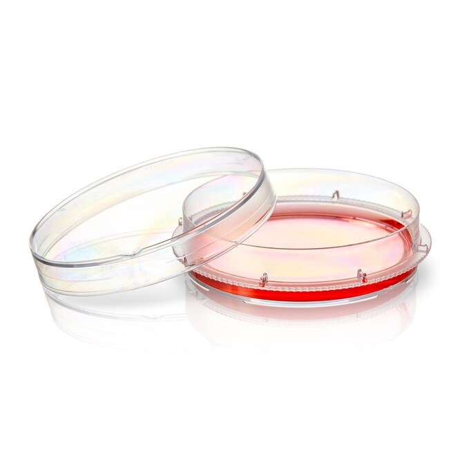 Nunc&trade; EasYDish&trade; Dishes with Nunclon&trade; Supra Surface