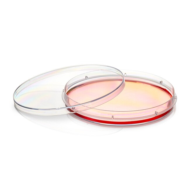 Nunc™ EasYDish™ Dishes with Nunclon™ Supra Surface