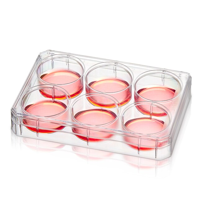 Nunc&trade; Poly-D-Lysine or Collagen I Coated Multidishes