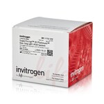 SuperScript&trade; III Platinum&trade; One-Step qRT-PCR Kit