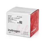 SuperScript&trade; III Platinum&trade; SYBR&trade; Green One-Step qRT-PCR Kit