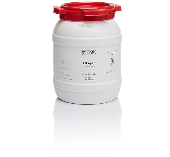 LB 琼脂粉末（Lennox L 琼脂）