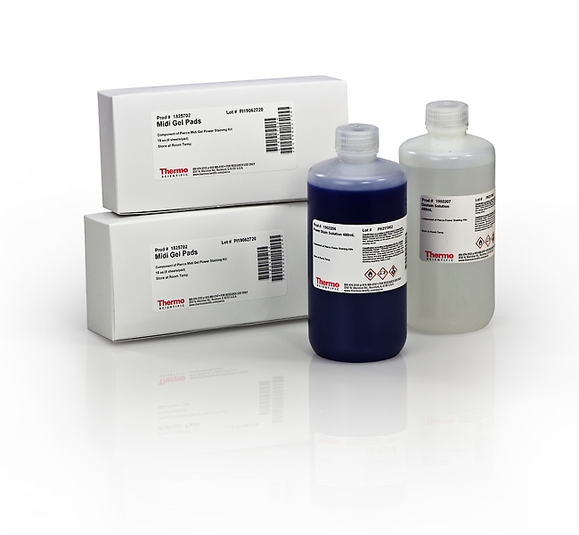 Pierce&trade; Midi Gel Power Staining Kit