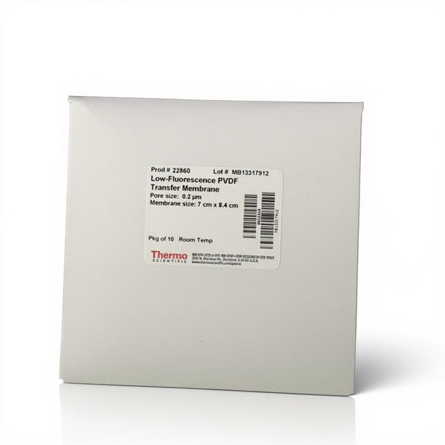 低荧光 PVDF 转印膜，0.2 &mu;m 7 x 8.4 cm